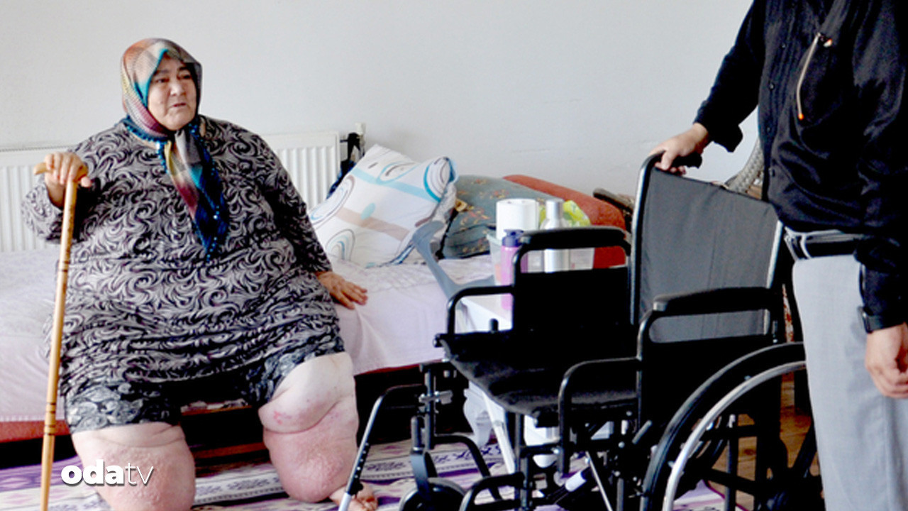 fil hastasi gulere yeni umut tekerlekli sandalye tTZA9LAv