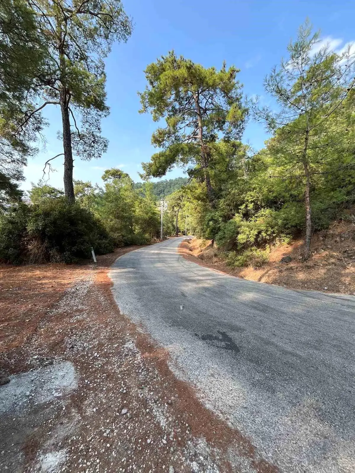 marmariste yangin onleme calismalari yayginlasirken 3IJVCP27