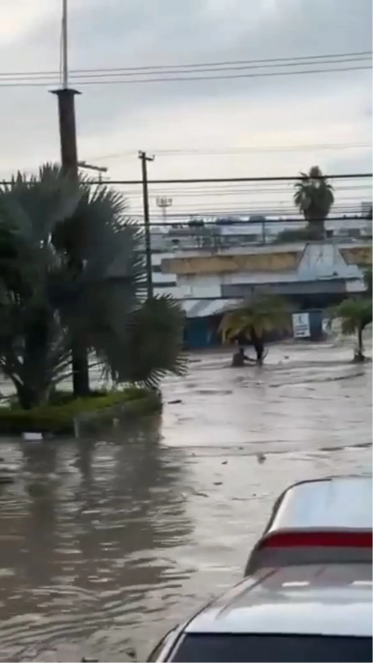 meksikada siddetli yagislar sele neden oldu 41 olu B2ptUt2T.jpg