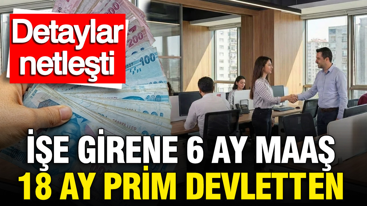 genc-istihdam-hamlesinin-detaylari-netlesti-ise-girene-6-ay-maas-18-ay-prim-devletten-NsGaMbJI
