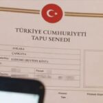 Mirasini torununa birakmisti yargitaydan milyonlari ilgilendiren emsal karar cikti STtb1nN4