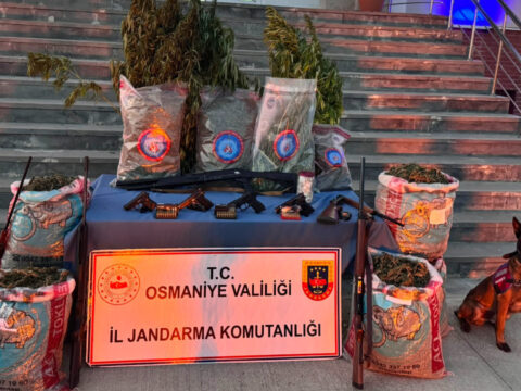 Osmaniyede uyusturucu operasyonu 31 kilo esrar ve 527 kok kenevir ele gecirildi Bjivb4GQ