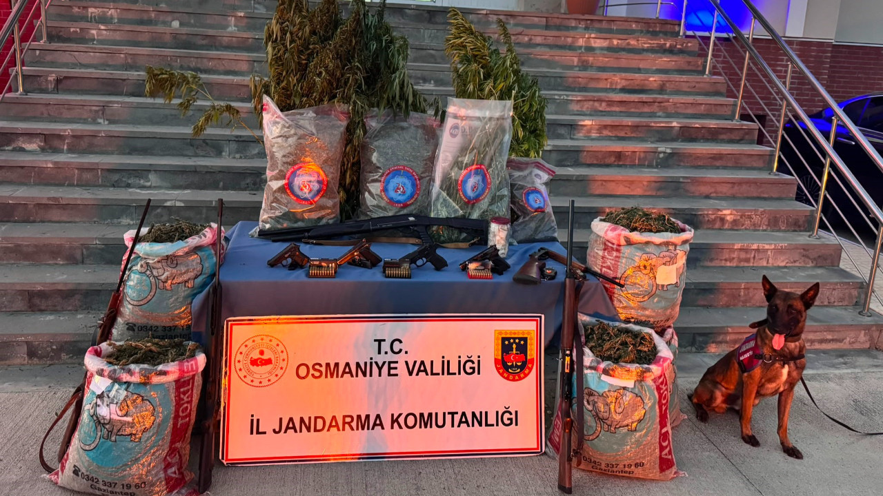 Osmaniyede uyusturucu operasyonu 31 kilo esrar ve 527 kok kenevir ele gecirildi Bjivb4GQ